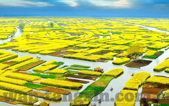 91麻豆国产精品91久久久-雕琢国魂，国产精品内容的艺术性探索与成长之路