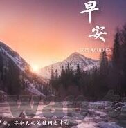 91制片厂制作果冻传媒星-91制片厂与果冻传媒，星辉下的创意交融