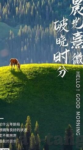 麻豆传媒映画app无限观看-尽享视听盛宴，揭秘麻豆传媒映画app的无限观看体验