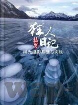 糖心vlog免费官网-探秘糖心Vlog，免费官网的细节与活力
