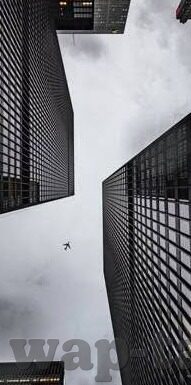 糖心直播app下载地址-关于在数字时代下，网络直播的引领者——解密糖心直播APP的魅力与风险
