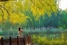 天美传媒麻豆果冻-探索天美传媒麻豆果冻，一份复刻创意与流媒体艺术的交织