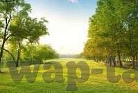 亚洲成人网在线视频-探索亚洲成人网在线视频，文化、社会与个人需求的交汇点